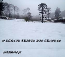 O Dançar Triste das Árvores